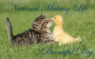 Making Life Beautiful Day Special